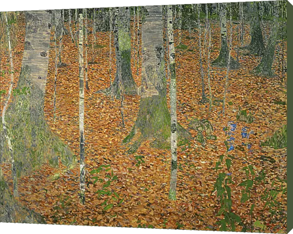 The Birch Wood, 1903 (oil on canvas)