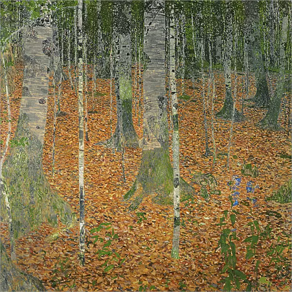 The Birch Wood, 1903 (oil on canvas)