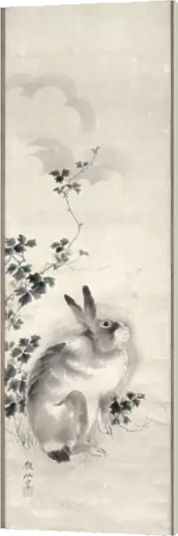 Hare, c. 1800 (watercolour on paper)