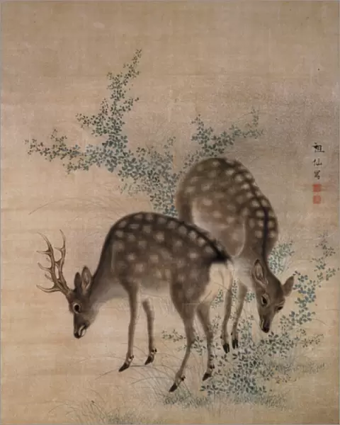 Deer grazing, c. 1790 (watercolour on silk)