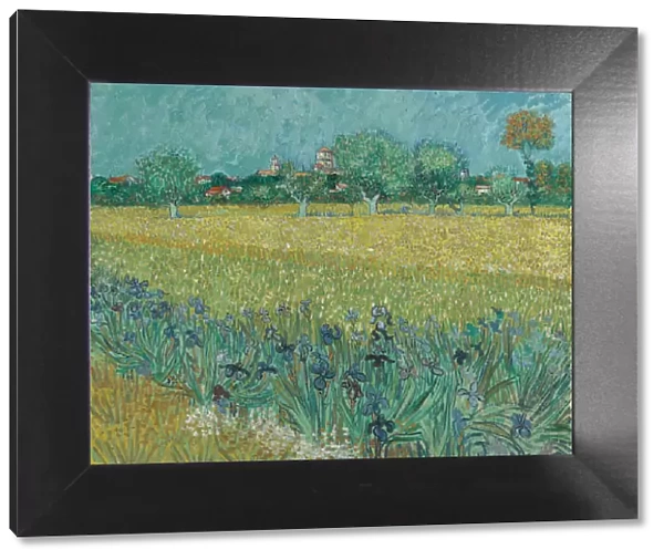 Field with Flowers near Arles, 1888 (oil on canvas)