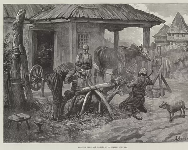Shoeing Oxen and Horses at a Servian Smithy (engraving)