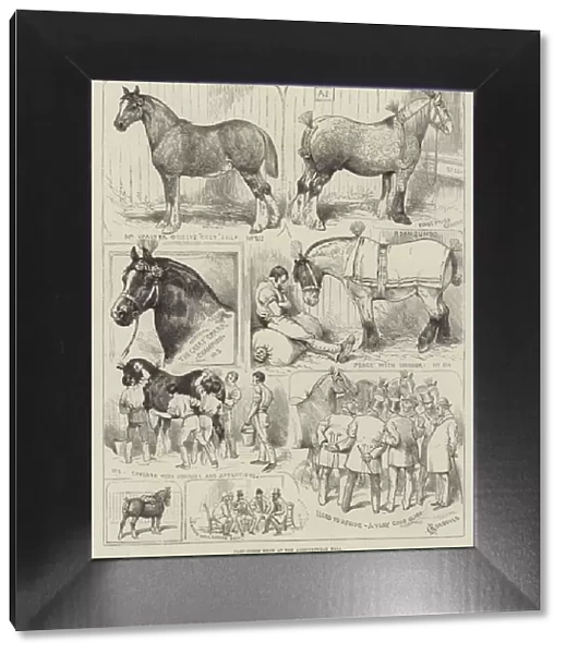 Cart-Horse Show at the Agricultural Hall (engraving)