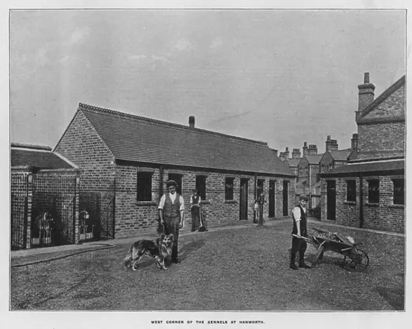 Whiteleys Farms: West corner of the kennels at Hanworth (b  /  w photo)