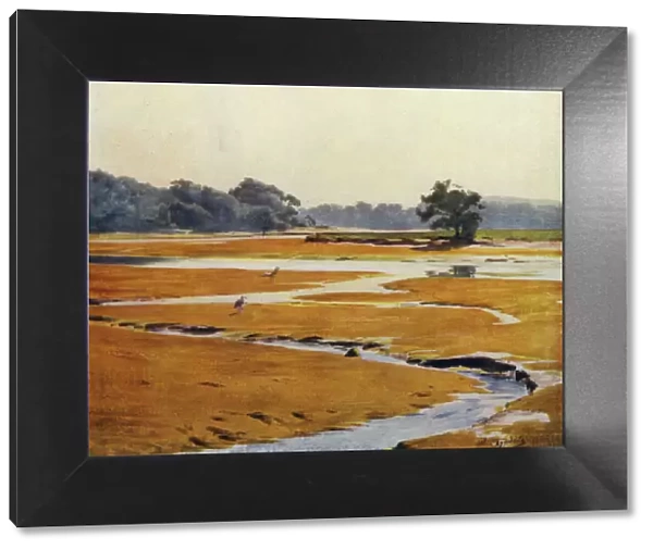 The New Forest: The Beaulieu River (colour litho)