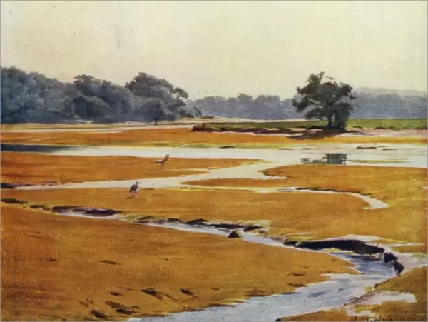 The New Forest: The Beaulieu River (colour litho)