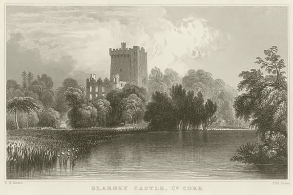 Blarney Castle in County Cork (engraving)