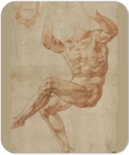 Study for the Nude Youth over the Prophet Daniel, for the Sistine Ceiling