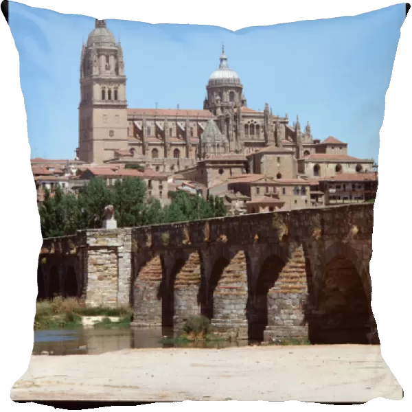 View of Roman bridge on river Tormes and cathedral