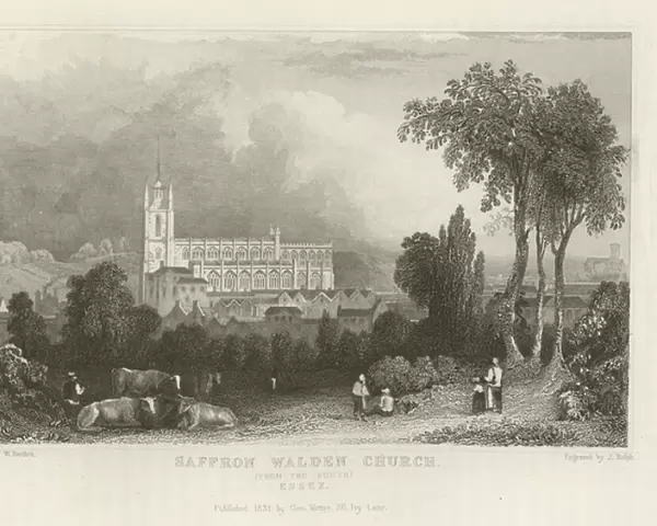 Saffron Walden Church, from the South, Essex (engraving)
