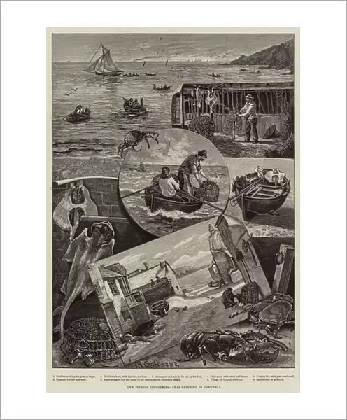 Our Fishing Industries, Crab-Catching in Cornwall (engraving)