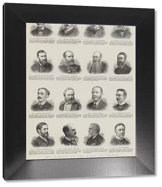 New Members of the House of Commons (engraving)