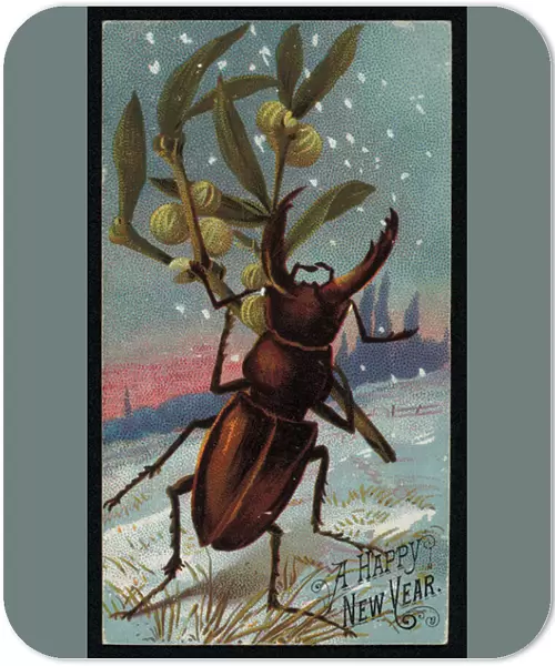 Stag beetle carrying mistletoe in a wintry scene, Christmas greetings card (chromolitho)