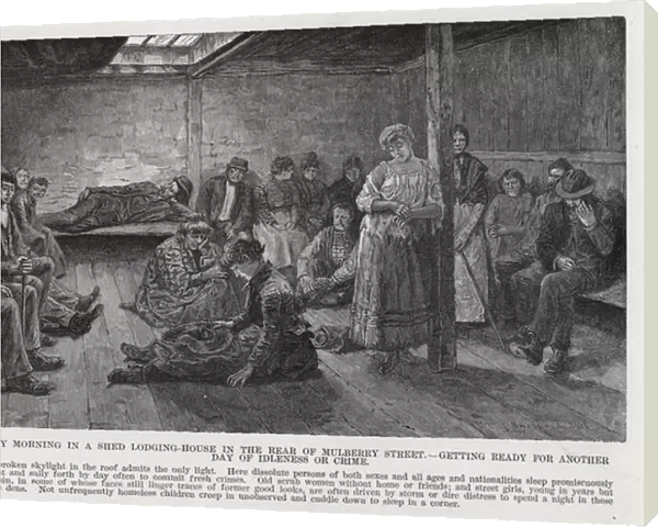 Early Morning in a Shed Lodging-House in the Rear of Mulberry Street, getting ready for Another Day of Idleness or Crime (litho)