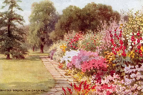 Herbaceous Border, Kew Gardens (colour litho)