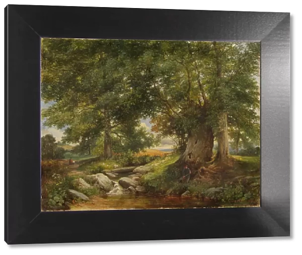 A Trout Stream near Worcester, 1866 (oil on canvas)