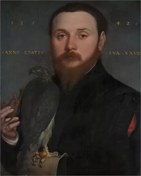 Portrait of a Nobleman with a Hawk, 1542 (oil on panel)