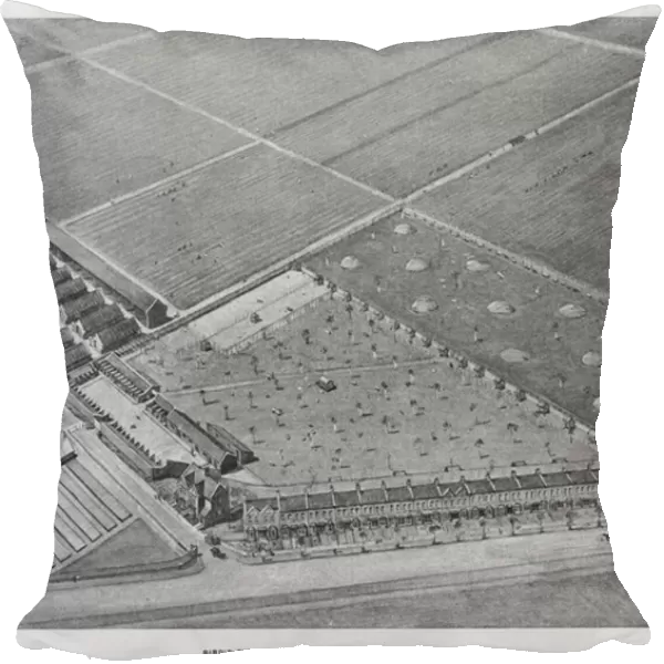 Whiteleys Farms: Bird s-eye view of Hanworth farms, kennels, etc (litho)