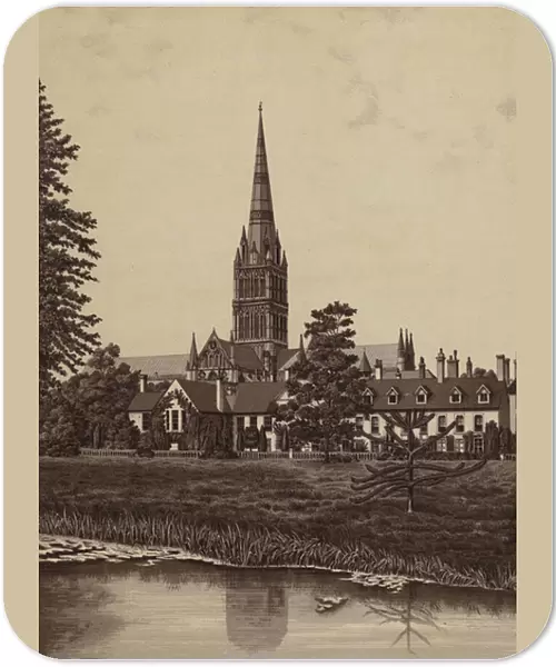 Salisbury Cathedral, from the Palace Garden (litho)