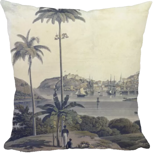 A View of the Town of St. George on the Island of Grenada, taken from the Belmont Estate