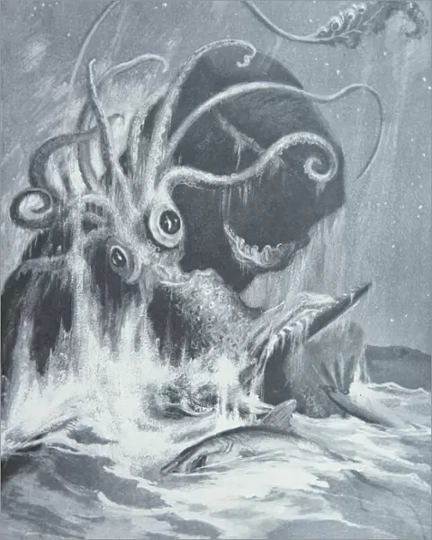 The Kraken vs. Sperm Whales, 1900 (litho)