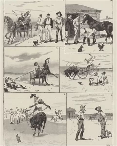 Our First Deal in Horseflesh in Manitoba (engraving)