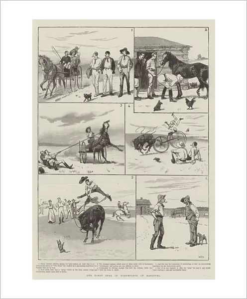 Our First Deal in Horseflesh in Manitoba (engraving)