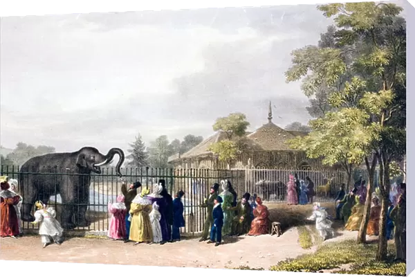 Visitors to London Zoo, Regents Park, in Victorian times (colour litho)
