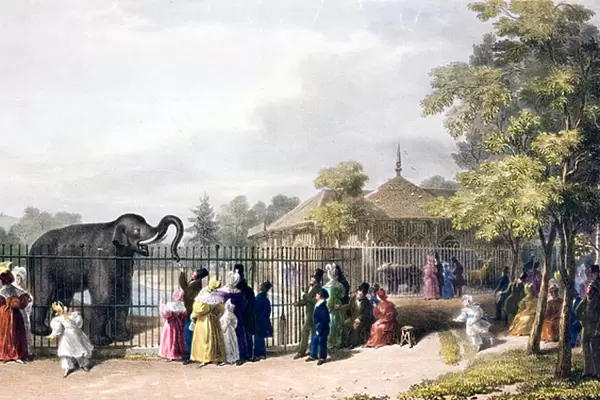 Visitors to London Zoo, Regents Park, in Victorian times (colour litho)
