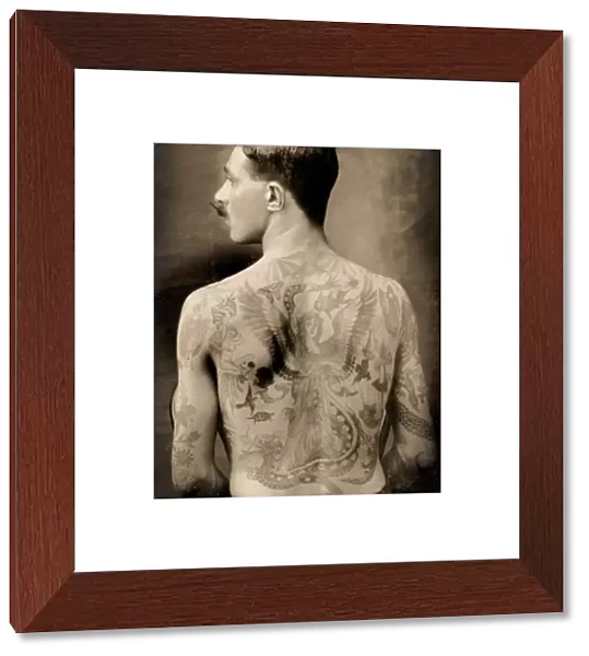 Tattooed British sailor during the Great War of 1914-18 (back view) (b  /  w photo
