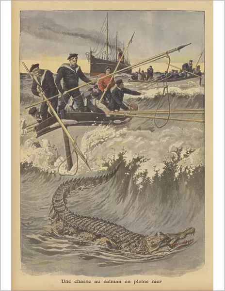 Sailors hunting an escaped cayman at sea (colour litho)