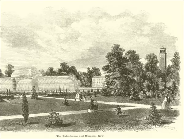 The Palm-house and Museum, Kew (engraving)