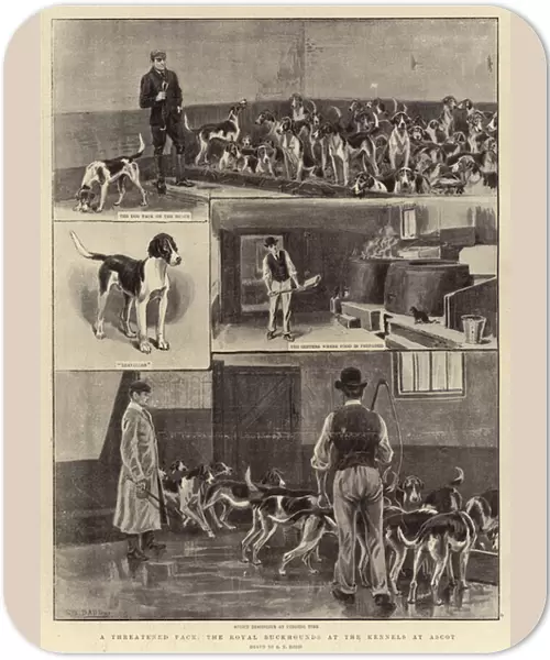A Threatened Pack, the Royal Buckhounds at the Kennels at Ascot (litho)
