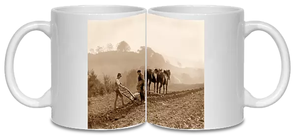 Farmers Ploughing a field on Lealholm Hall Farm, Whitby. c. 1889 (photo)