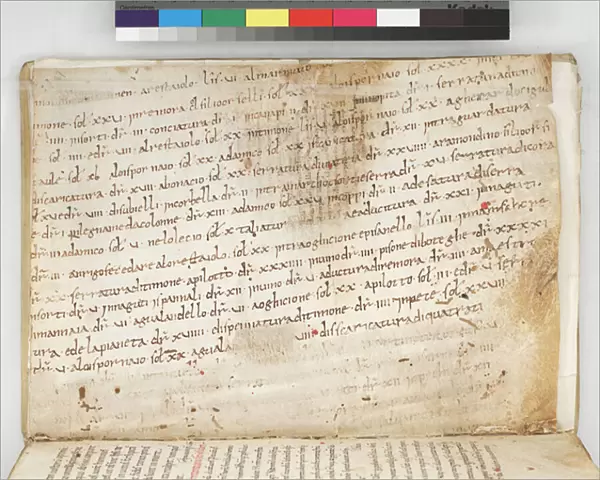 Carta Pisano, 1090 (ink on parchment)