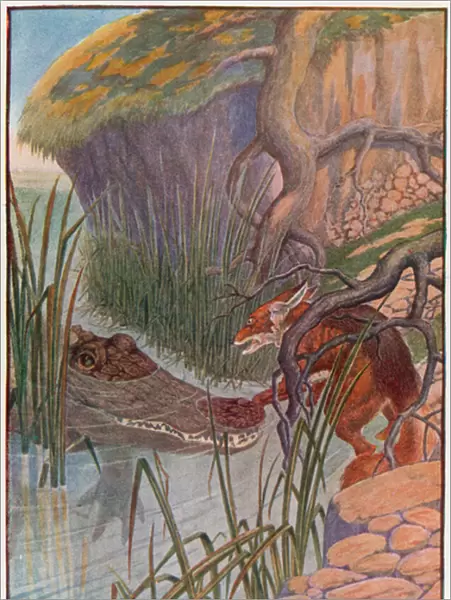'Oh dear! The big alligator has my paw in his mouth!'(colour litho)