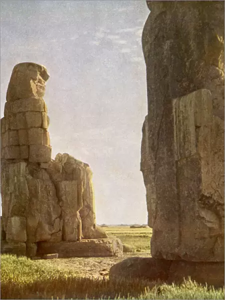 Colossi of Memnon at Daybreak