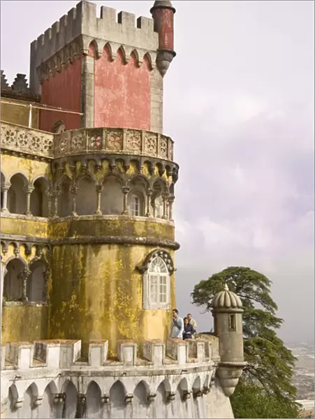 A castle tower (photo)