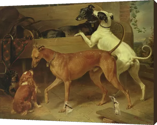 Krugers Dogs, 1855 (oil on canvas)