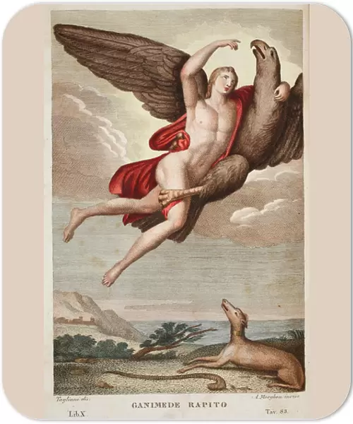 Ganymede carried off into Heaven or Ganimede Rapito, Book X