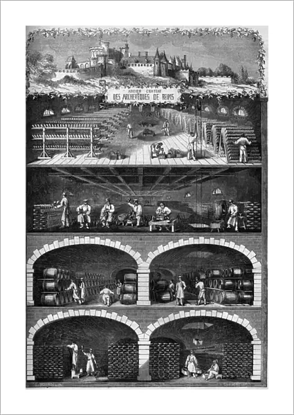Viticulture: view of the champagne cellars in the basements of the old castle of