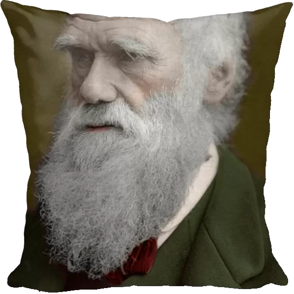 Portrait of Charles Darwin, 1878 - Portrait of the English naturalist Charles Darwin