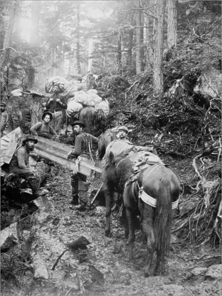 Climbing the Dyea Trail on the way to the Chilkoot Pass during the Klondike Gold Rush
