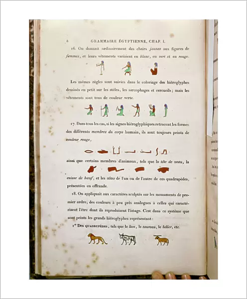 Notes on the colouring of certain hieroglyphs, from Grammaire Egyptienne