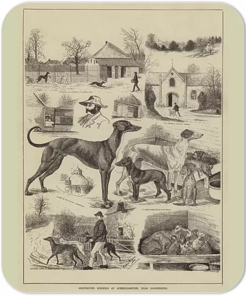 Greyhound Kennels at Athelhampton, near Dorchester (engraving)