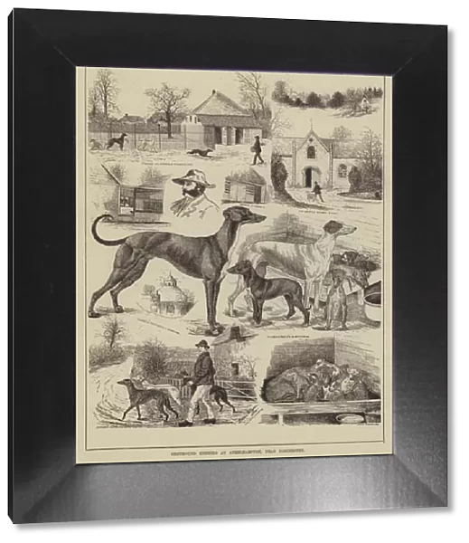 Greyhound Kennels at Athelhampton, near Dorchester (engraving)