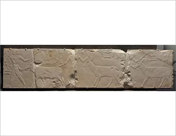 Relief of Men Bringing Desert Animals, c. 2311-2281 BC (limestone)
