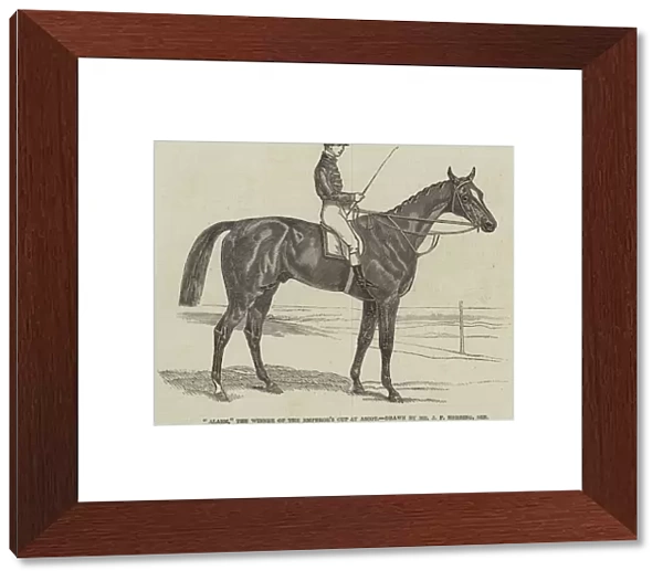 'Alarm, 'the Winner of the Emperors Cup at Ascot (engraving)