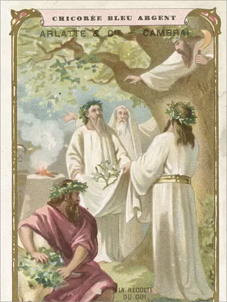 Harvesting mistletoe - New Year among the Celts (chromolitho)