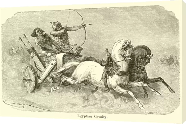 Egyptian Cavalry (engraving)